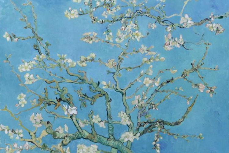 Vincent van Gogh: Mandulavirágzás